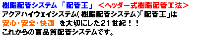 eLXg {bNX: zǃVXe@uzǉv@wb_[zǍH@
ANAnCEFCVXeizǃVXejuzǉv
SESEK@؂ɂQPIII
ꂩ̍izǃVXełB
